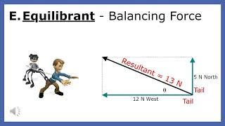 Resultant Force And Equilibrant Force:Exhaustive Comparison.